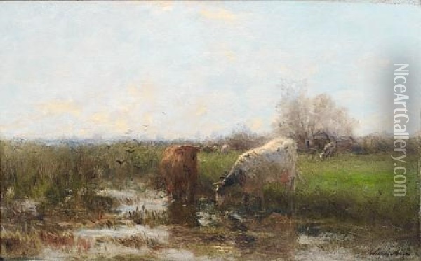 Cattle By Stream Oil Painting - Willem Maris