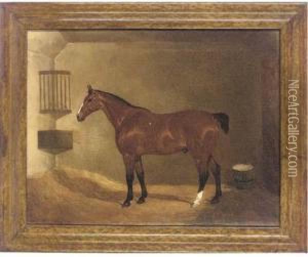 A Bay Hunter In A Stable Oil Painting - Joshua Dalby Of York