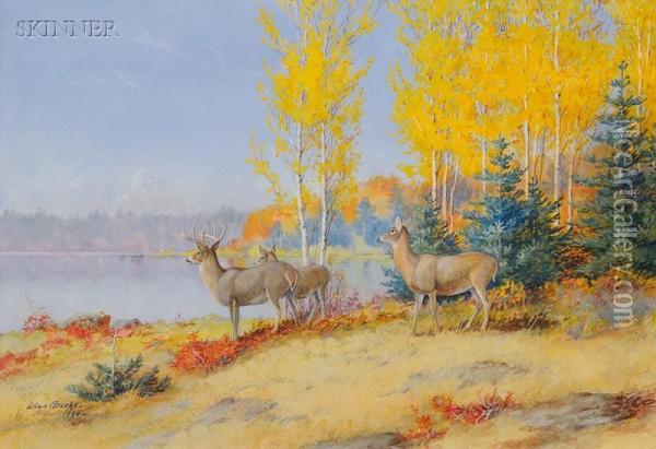 Deer By The Lake Oil Painting - Allan Brooks