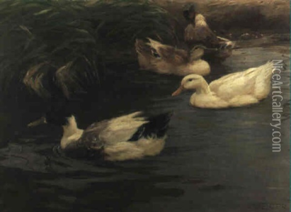 Vier Enten Auf Dem Wasser Oil Painting - Alexander Max Koester