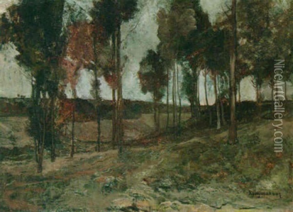 A Wooded Landscape, Limburg Oil Painting - Willem Van Konijnenburg