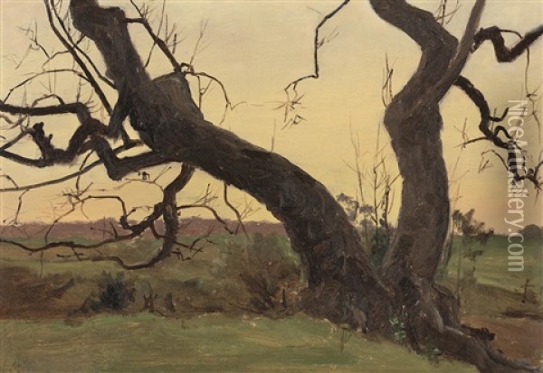 Twisted Trunks Sight Oil Painting - Lockwood de Forest