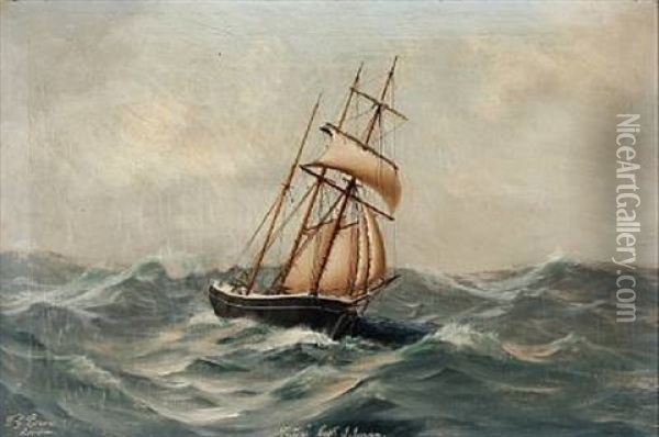 Ship Portrait Of Triton, Capt. J. Jensen Oil Painting - T.G. Purvis