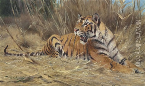 A Tiger Oil Painting - Wilhelm Friedrich Kuhnert