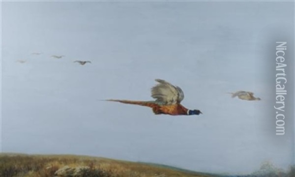 Pheasants In Flight Oil Painting - Maud Earl