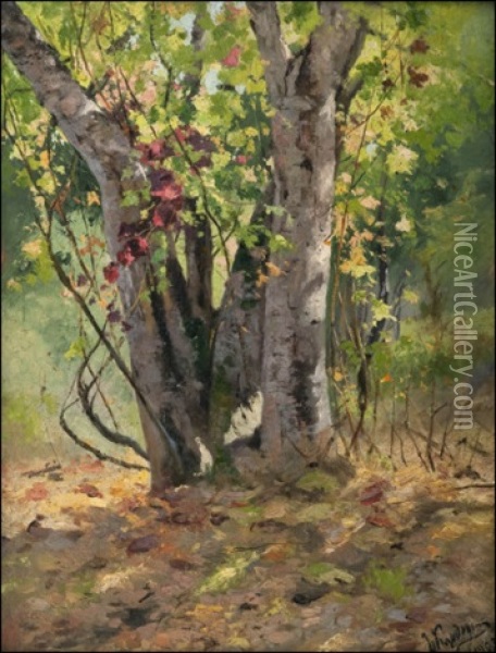 Autumn Forest Oil Painting - Anton Ivanovitch Kandauroff