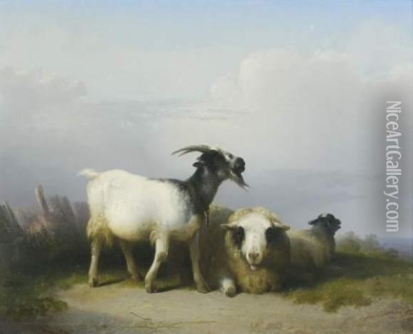 Chevre Et Moutons Au Repos Oil Painting - Eugene Joseph Verboeckhoven