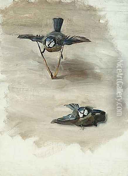 Study of a Dead Bird Oil Painting - John Singer Sargent