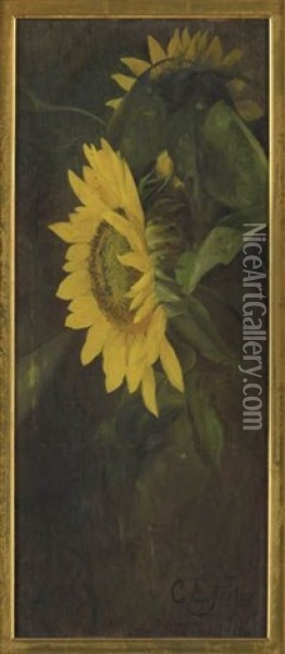 Sunflowers Oil Painting - Charles Porter