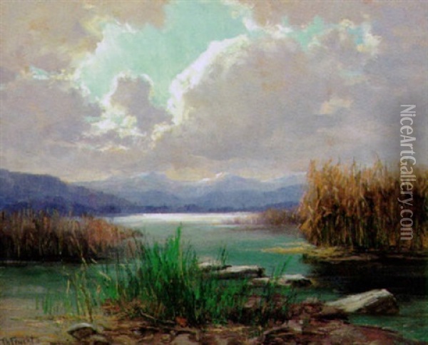 Wolkestimmung Am Chiemseeufer Oil Painting - Theodor Feucht