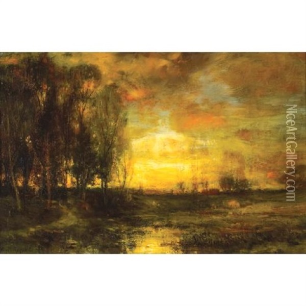 A Stand Of Trees At Sunset Oil Painting - Charles P. Appel