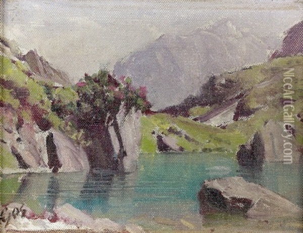 Sonnige Gebirgspartie Mit Kleinem See Oil Painting - Albert Henri John Gos