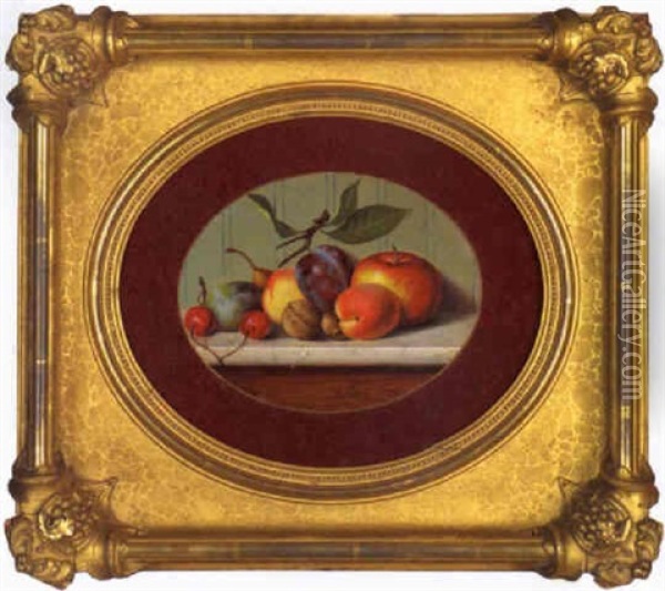 Fruchtesstilleben Mit Apfeln, Pflaumen, Pfirsichen Und Nussen Oil Painting - Michelangelo Meucci