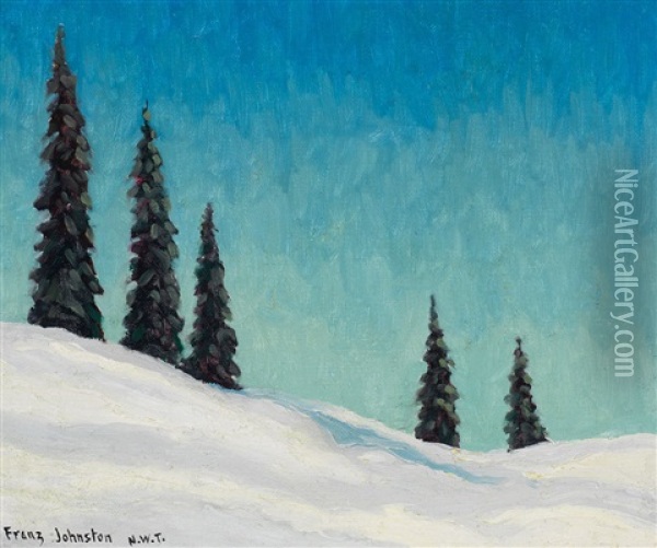 Great Bear Lake, Nwt Oil Painting - Francis Hans Johnston