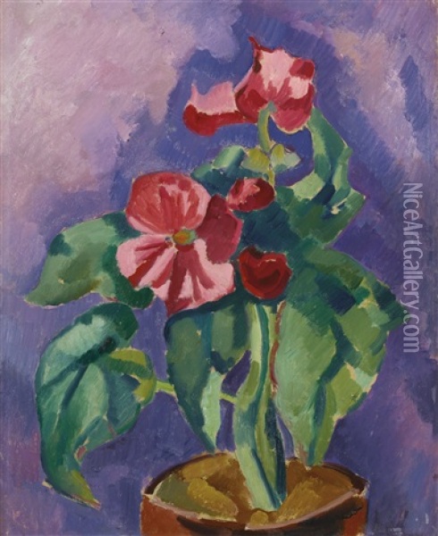 Pink Begonias (still Life: Pink Begonia) Oil Painting - Marsden Hartley