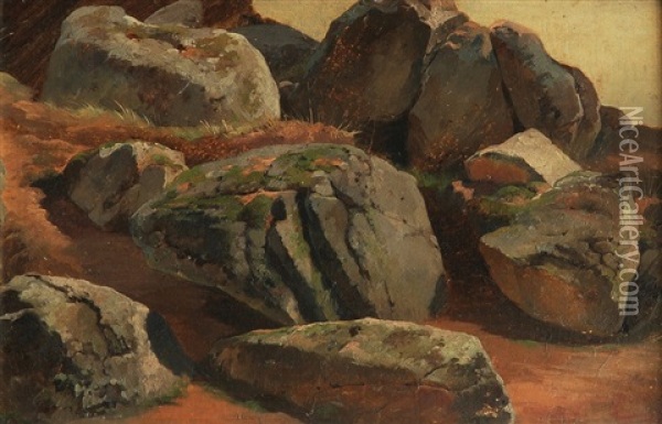 Study Of Stones Oil Painting - Bedrich Havranek