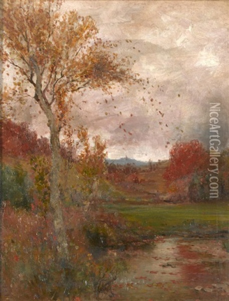 Autumn Trees Along A Pond Oil Painting - Jervis McEntee