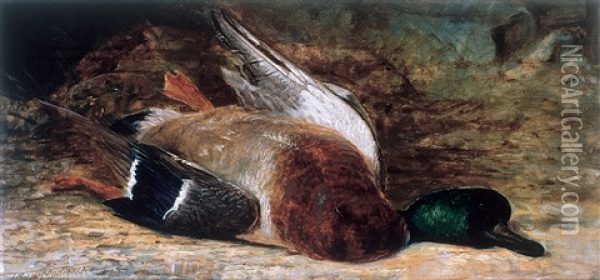 Study Of A Duck Oil Painting - Thomas Mower Martin