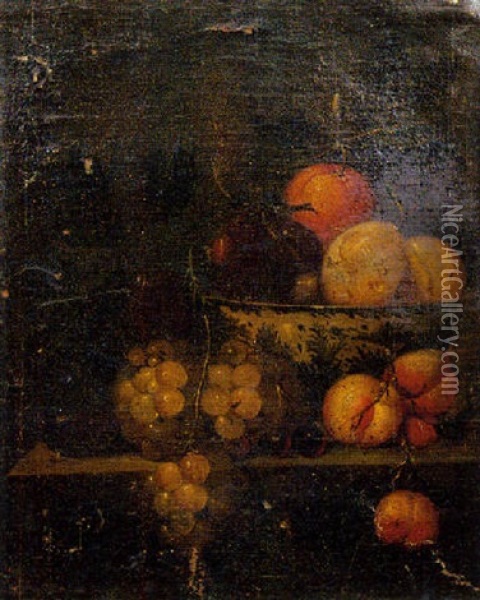 Nature Morte Aux Prunes Et Oranges Dans Une Porcelaine Wang-li Sur Un Entablement Oil Painting - Martinus Nellius