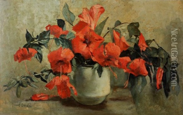 Still Life Of Hibiscus Oil Painting - Frans David Oerder