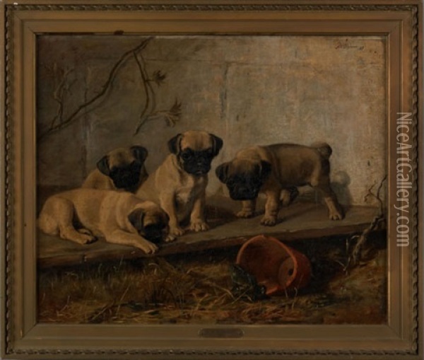 Four Pugs Staring At A Frog Oil Painting - Franklin Whiting Rogers