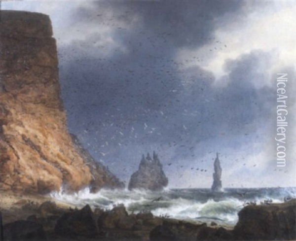 Seabirds Off A Rocky Coastline With Stormy Skies Oil Painting - Christian Friedrich Ezdorf