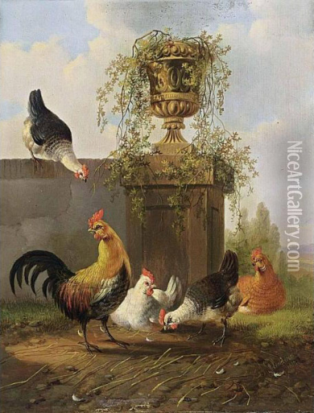 Chickens And A Cockerel By A Wall Oil Painting - Albertus Verhoesen