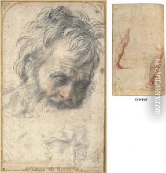 Head Of Saint Joseph Looking Down, With A Subsidiary Study Of Hisfeatures Oil Painting - Andrea Del Sarto