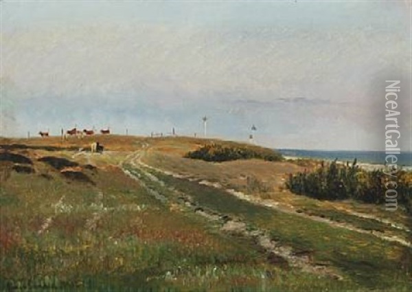 Scenery From The Coast Of Rorvig Oil Painting - Simon Simonsen