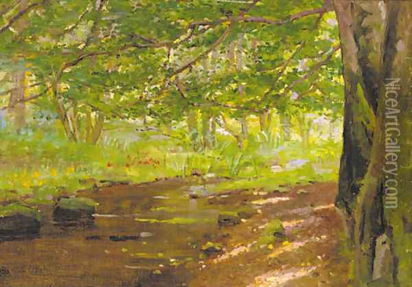 A sunlit woodland stream Oil Painting - Thomas Reynolds Lamont