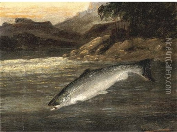 Salmon Rising (+ A Netted Perch; Pair) Oil Painting - A. Roland Knight