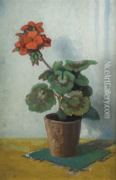 Still Life Of A Geranium In A Pot (study) Oil Painting - James Sinton Sleator