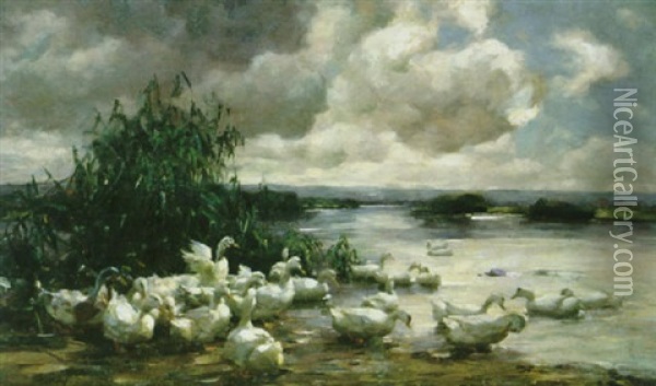 Enten Am Ufer Vor Weiter Seenlandschaft Oil Painting - Alexander Max Koester