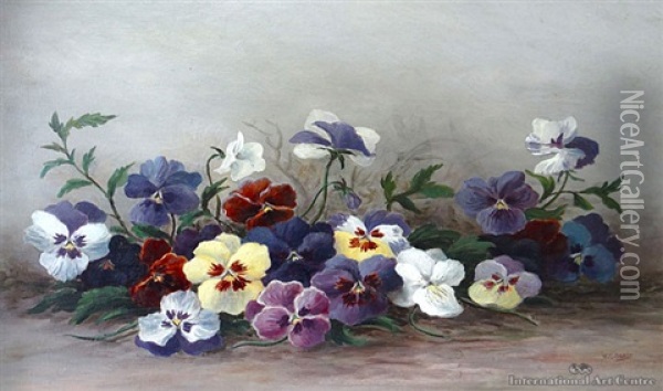 Pansies Oil Painting - William George Baker