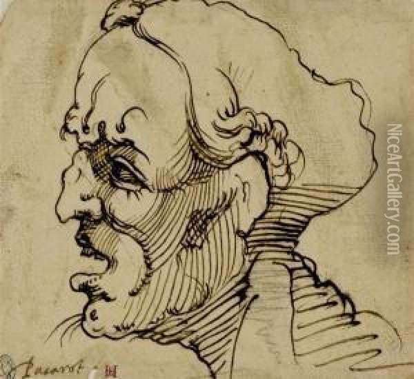 Male Head Study In Profile To The Right Oil Painting - Bartolomeo Passarotti