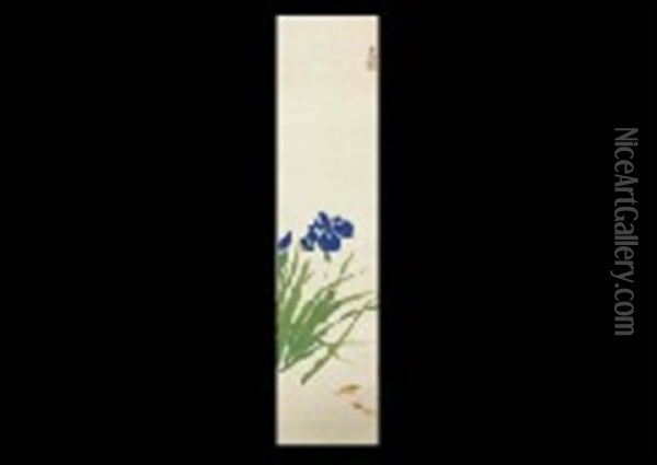 Iris Oil Painting - Bakusen Tsuchida