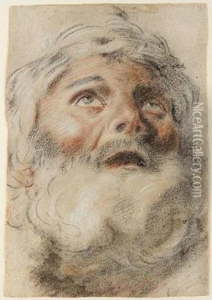 Head Of A Bearded Man Looking Upwards Oil Painting - Domenico Maria Canuti