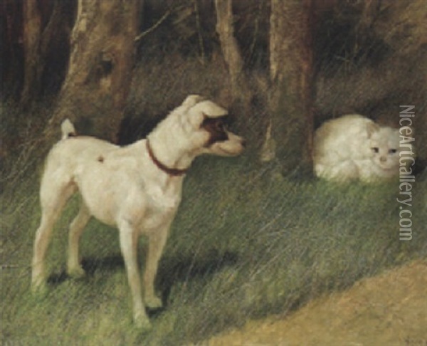 A Jack Russell Terrier With A White Persian Cat Oil Painting - Arthur Heyer