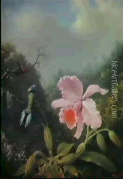 Still Life With Orchid And Pair Of Hummingbirds Oil Painting - Martin Johnson Heade