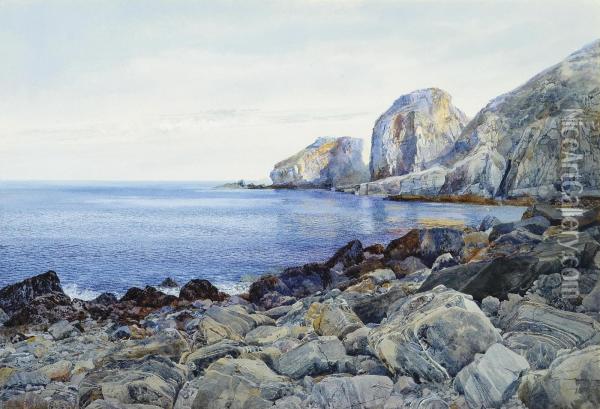 Early Evening On The Coast Of Sark Oil Painting - F.E. De St Dalmas