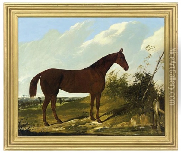 A Chestnut Hunter In A Pastoral Landscape Oil Painting - Joseph (of Worcester) Dunn