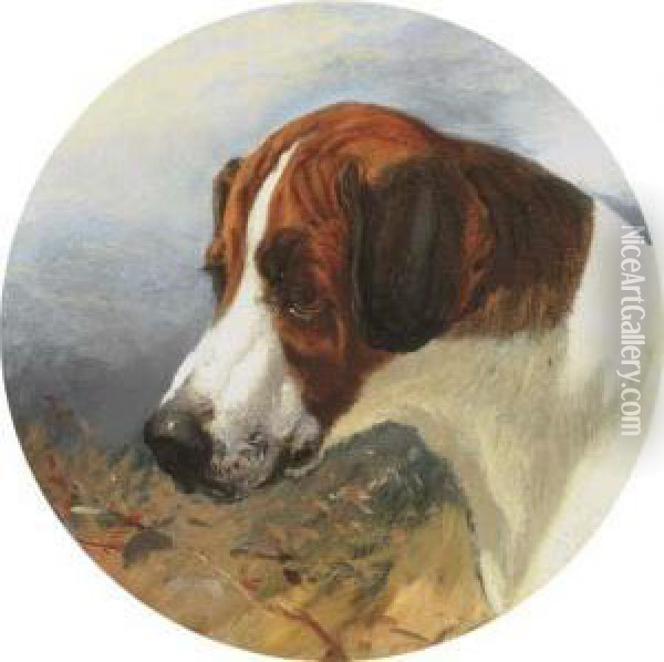 Head Of Gainer, A Fox Hound Oil Painting - George Earl