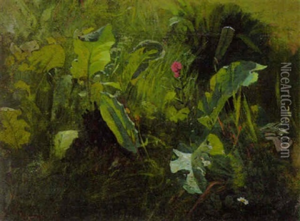 Wiesenstuck Mit Einer Rosa Blutenstaude Oil Painting - Karl Raupp