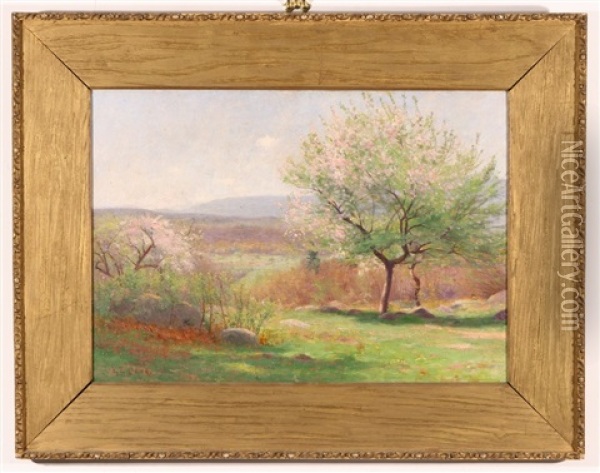 Flowering Trees, New England Oil Painting - Edmund Elisha Case