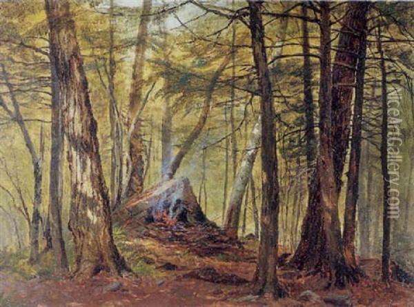 A Camp In The Forest Oil Painting - Jervis McEntee