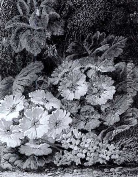 Still Life Of Polyanthus, Lilac And African Violets Oil Painting - Oliver Clare