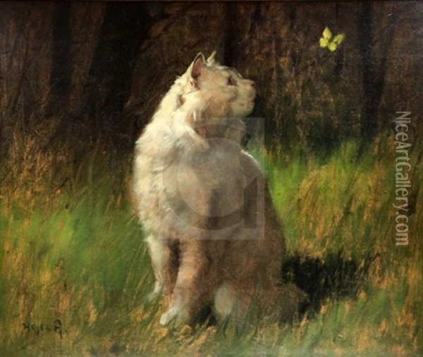 White Cat Watching A Butterfly Oil Painting - Arthur Heyer