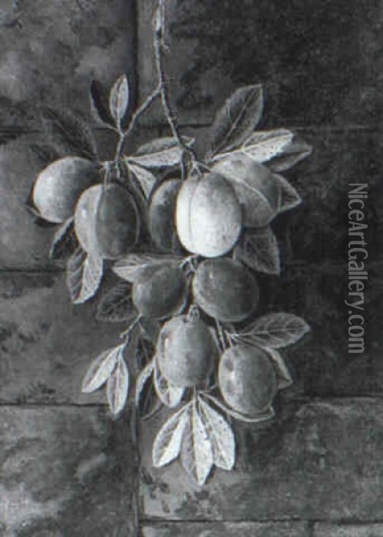 Greengages And Plums (a Pair) Oil Painting - George Crisp