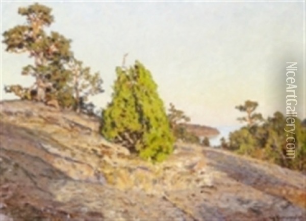 Solbelyst Klipphall I Tjust Skargad Oil Painting - Gottfried Kallstenius