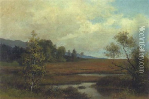 Moorlandschaft Bei Salzburg Oil Painting - Franz Kulstrunk